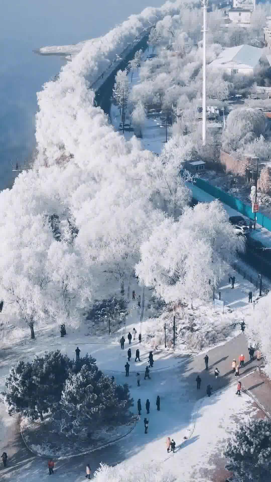 吉林阳光小聚盛事