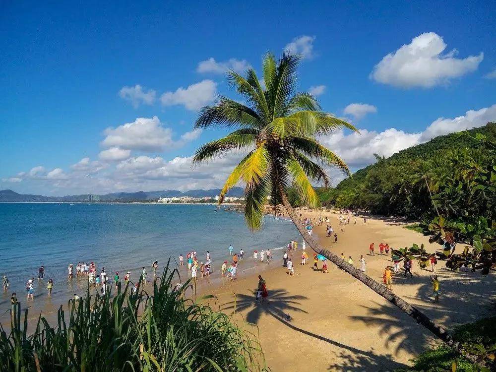 海南热带风情，无限商机等你来探索