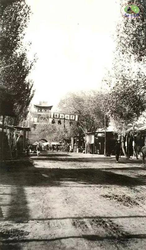 新疆阳光小聚记